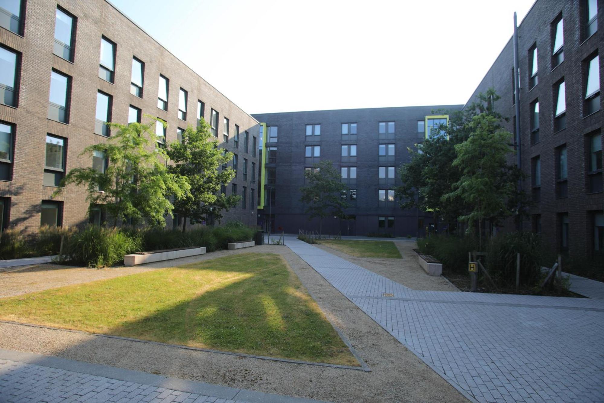 Goldcrest Village Apartments University Of Galway Buitenkant foto
