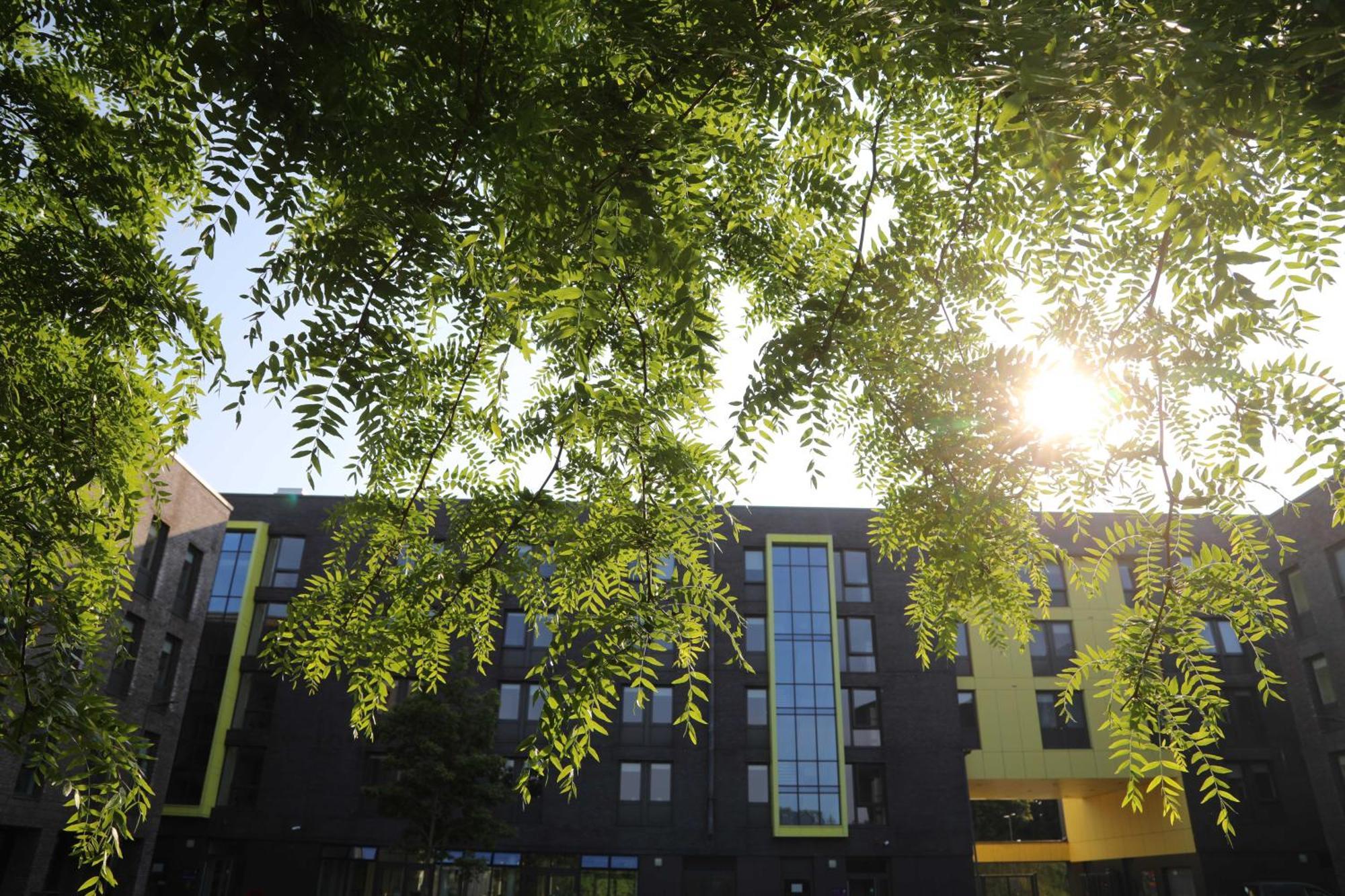 Goldcrest Village Apartments University Of Galway Buitenkant foto
